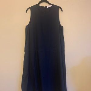 Everlane dress